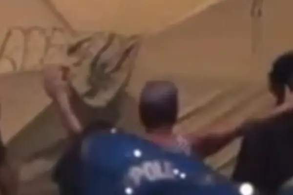 Fakir, Giorgia Meloni: "Well done, Francesca": the video that drives the left crazy | Libero Quotidiano.it