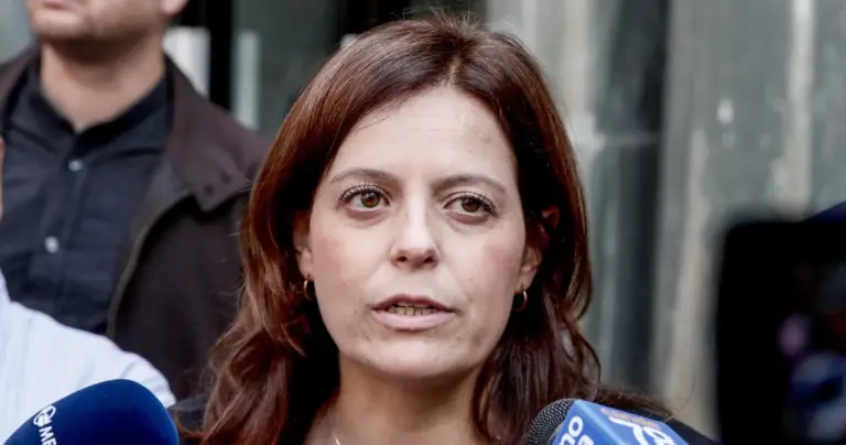 Mario Roggero, the red delirium of Ilaria Salis: "Man, white, middle class" | Libero Quotidiano.it