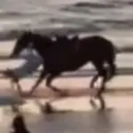 Belen Rodriguez, "I took a fall": bad horse fall, the video | Libero Quotidiano.it